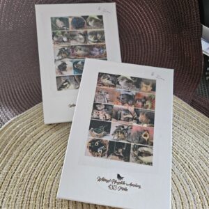 WVH - Memory Pflegestation