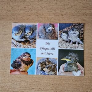 WVH - Postkarte Amselweg