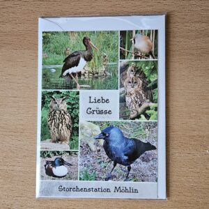 WVH - Karte StoSta 1