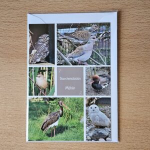 WVH - Karte StoSta 4