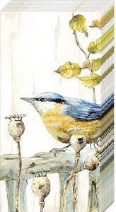 WVH - Taschentücher Kleiber